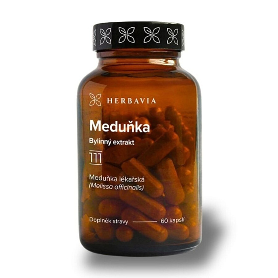 Meduňka lékařská
