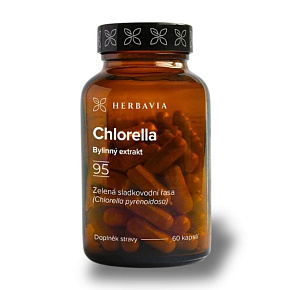 Chlorella Chlorella