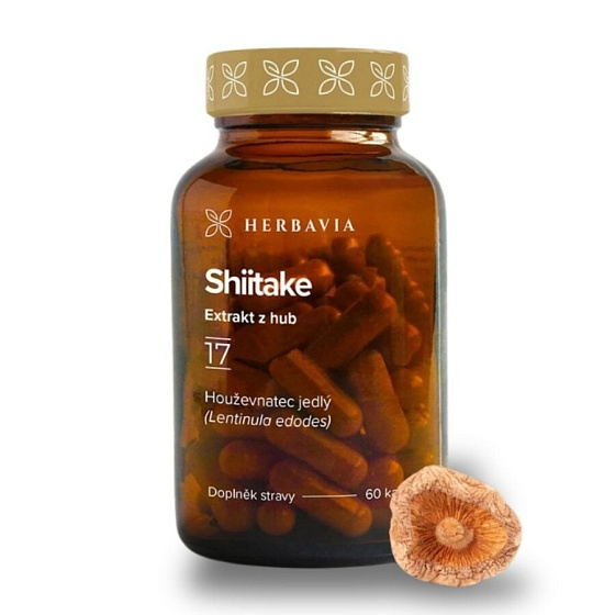 Shiitake
